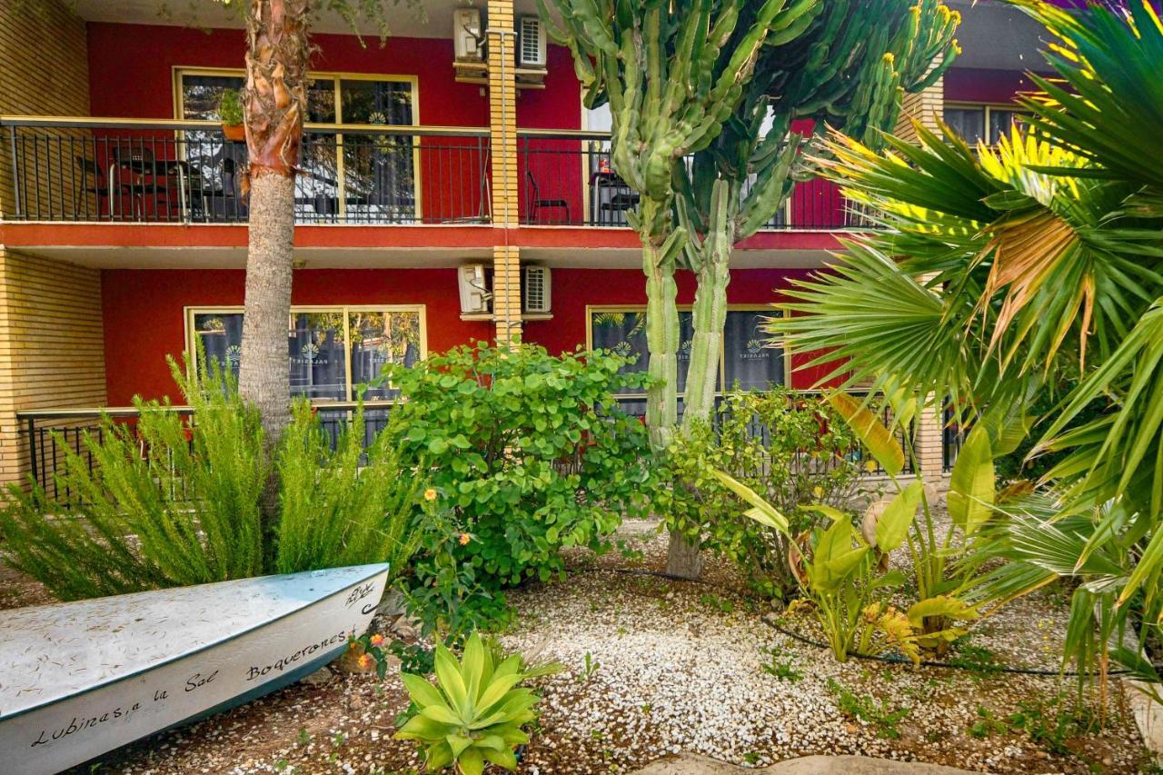 Apartamentos Palasiet เบนิดอร์ม ภายนอก รูปภาพ